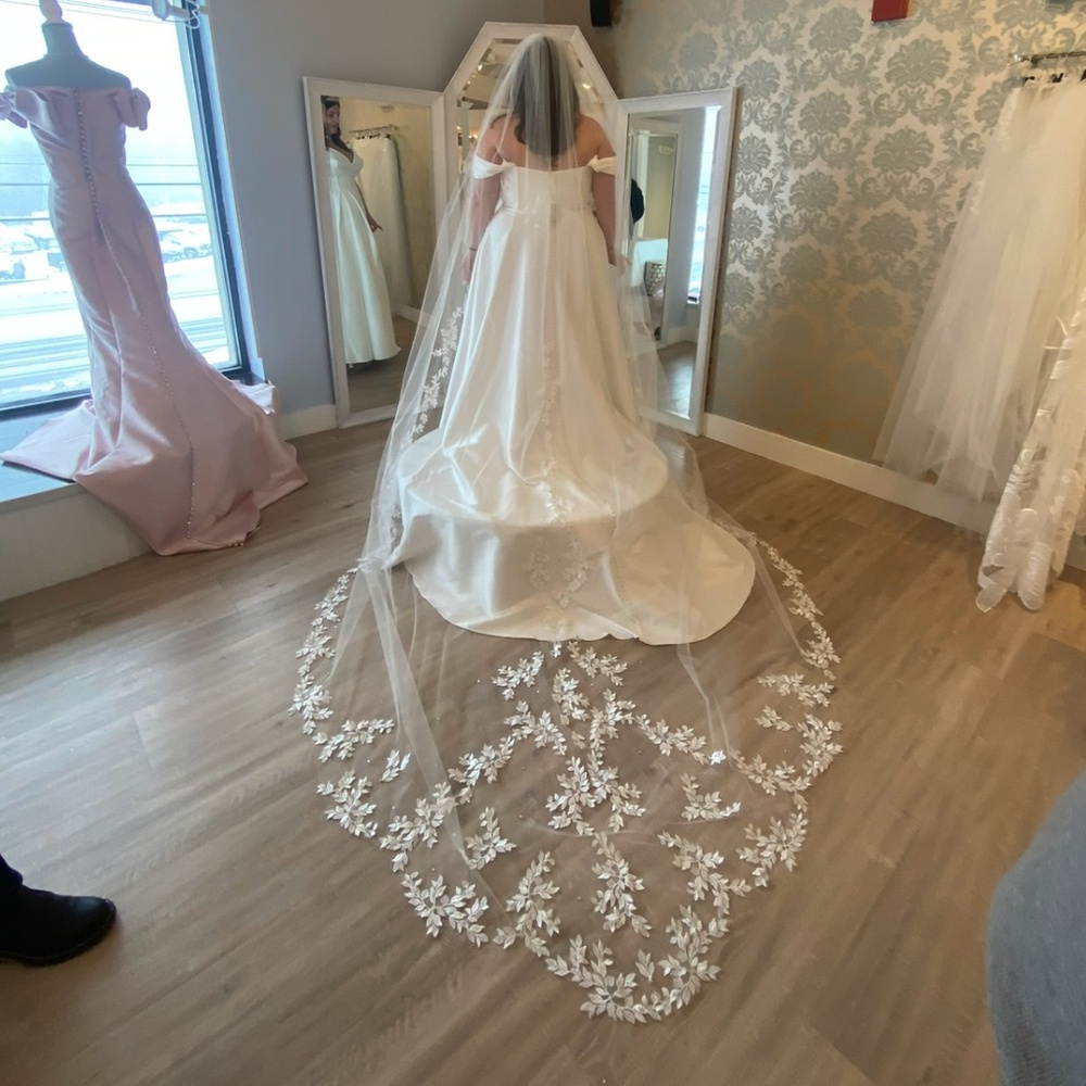BRAND NEW wedding veil